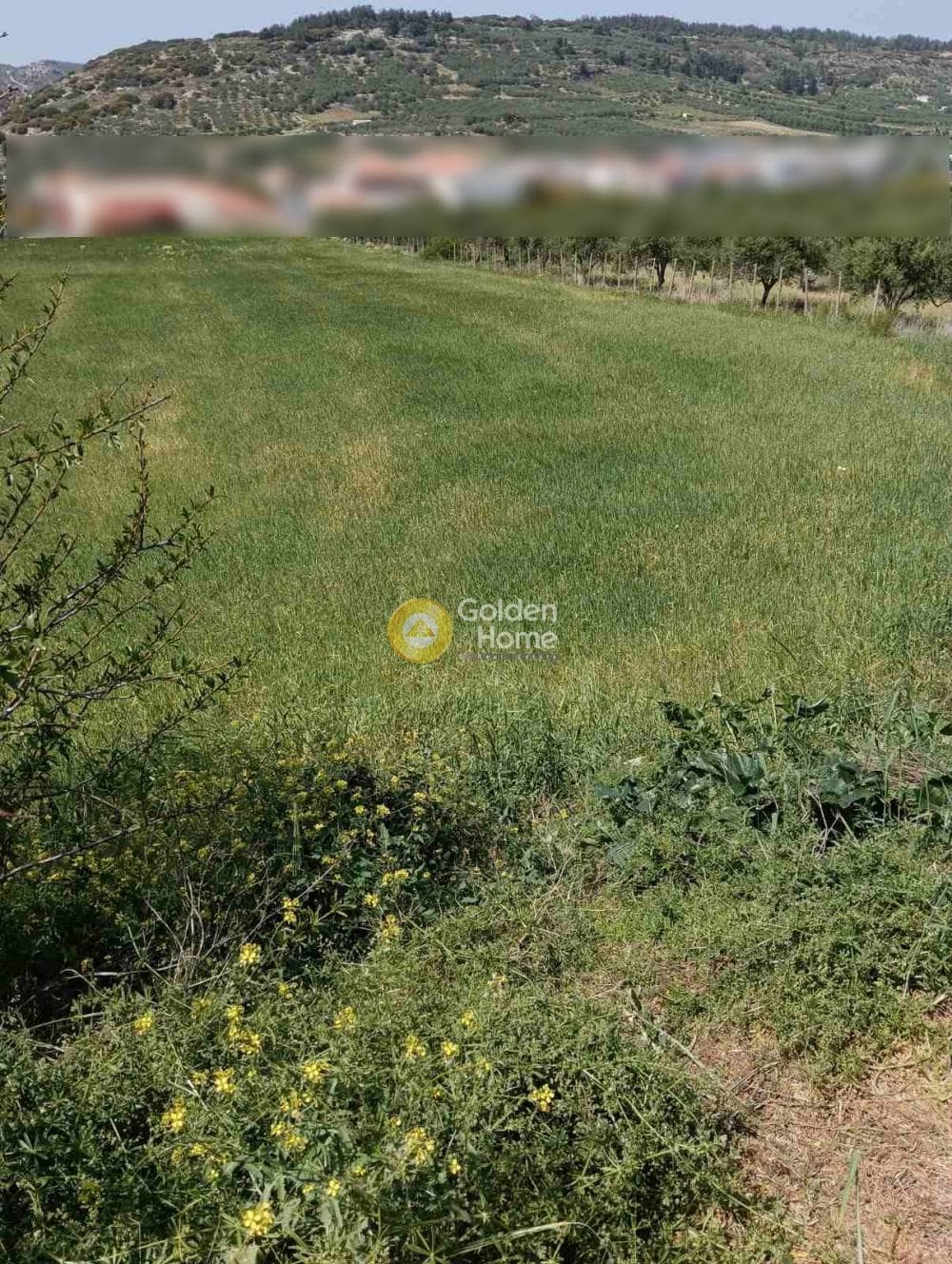 Building Plot in Epano Archanes, Archanes — Photo 8 of 12