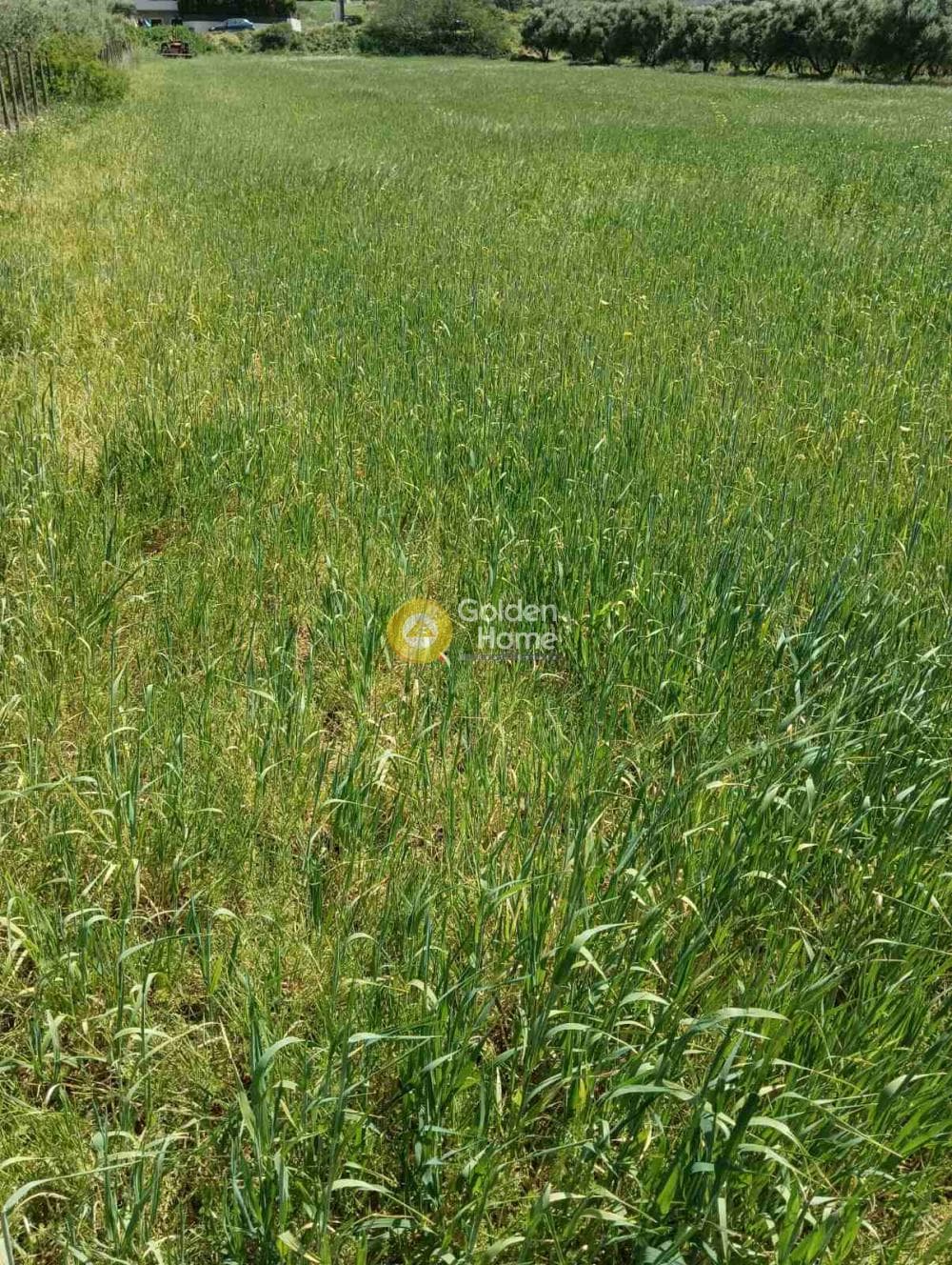 Building Plot in Epano Archanes, Archanes — Photo 4 of 6