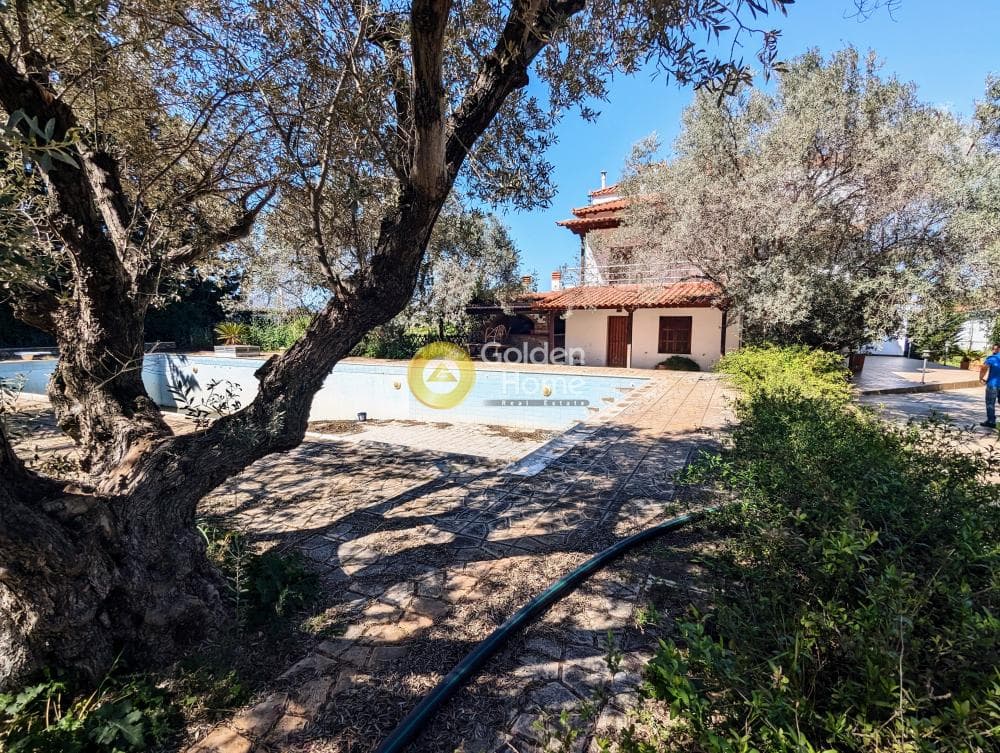 Μονοκατοικία στην Λεωφ. Βάρης Κορωπίου, Κορωπί — Φωτογραφία 38 από 56