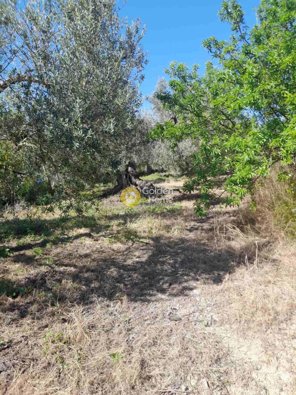 Building Plot in Peza, Archanes — Photo 1 of 3