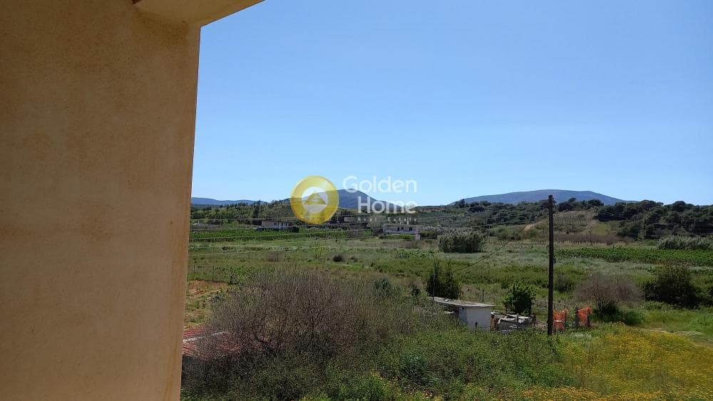 Μονοκατοικία στην Βορινέζα, Αρτέμιδα (Λούτσα) — Φωτογραφία 8 από 9
