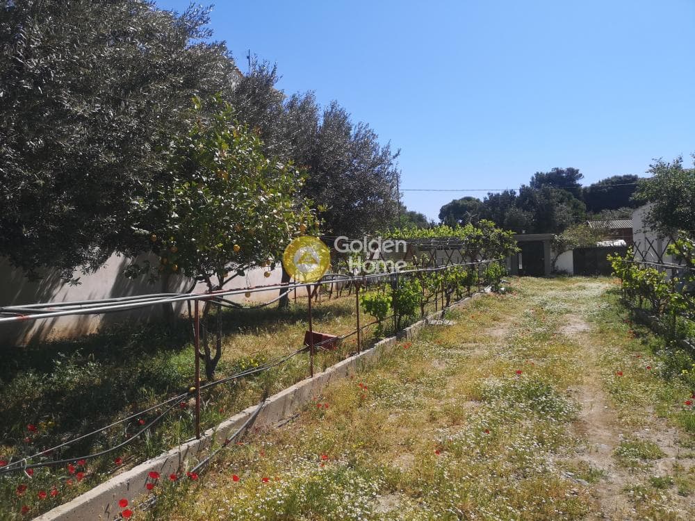 Μονοκατοικία στην Καλύβια, Καλύβια Θορικού — Φωτογραφία 22 από 57