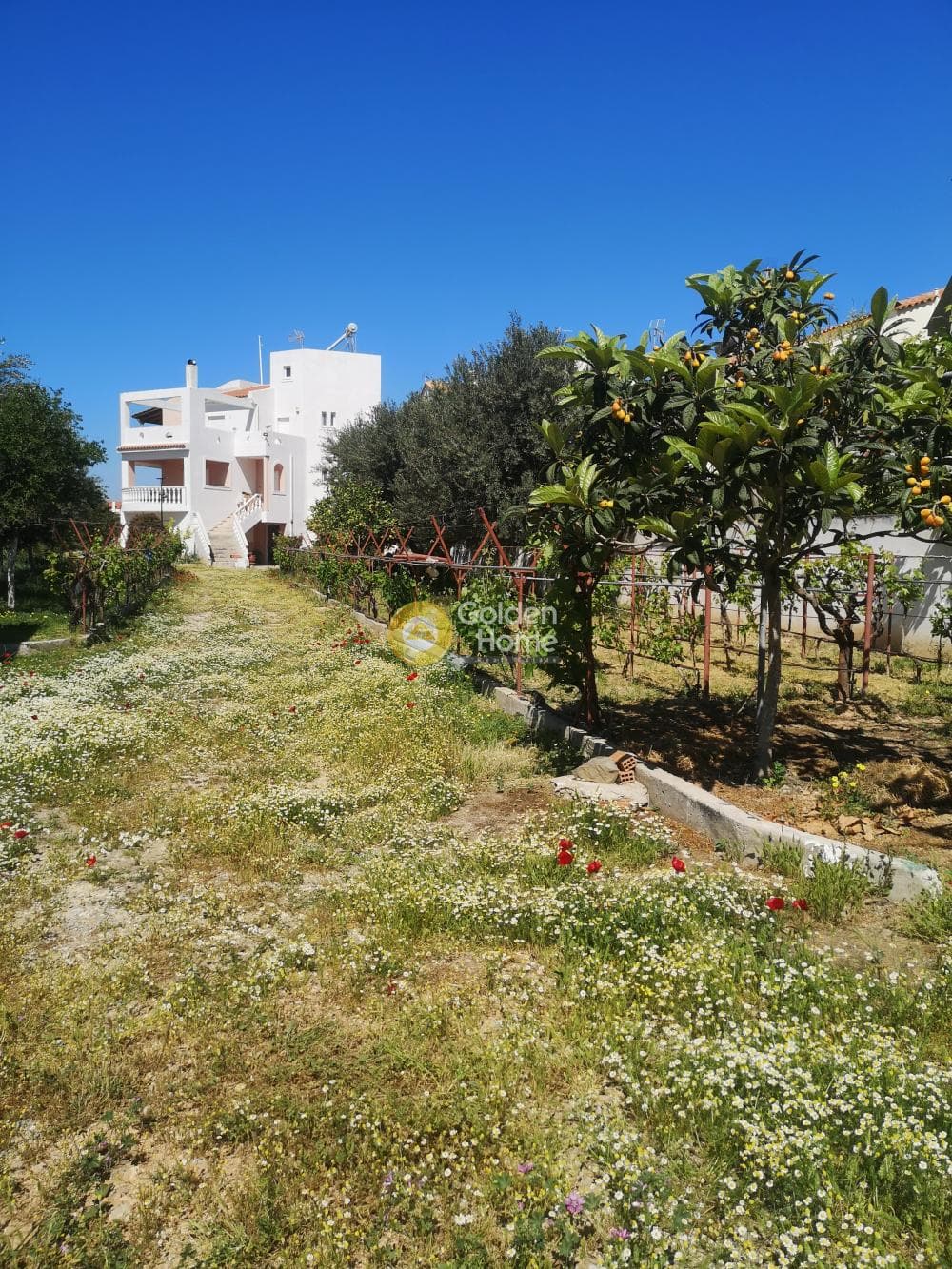 Μονοκατοικία στην Καλύβια, Καλύβια Θορικού — Φωτογραφία 25 από 57