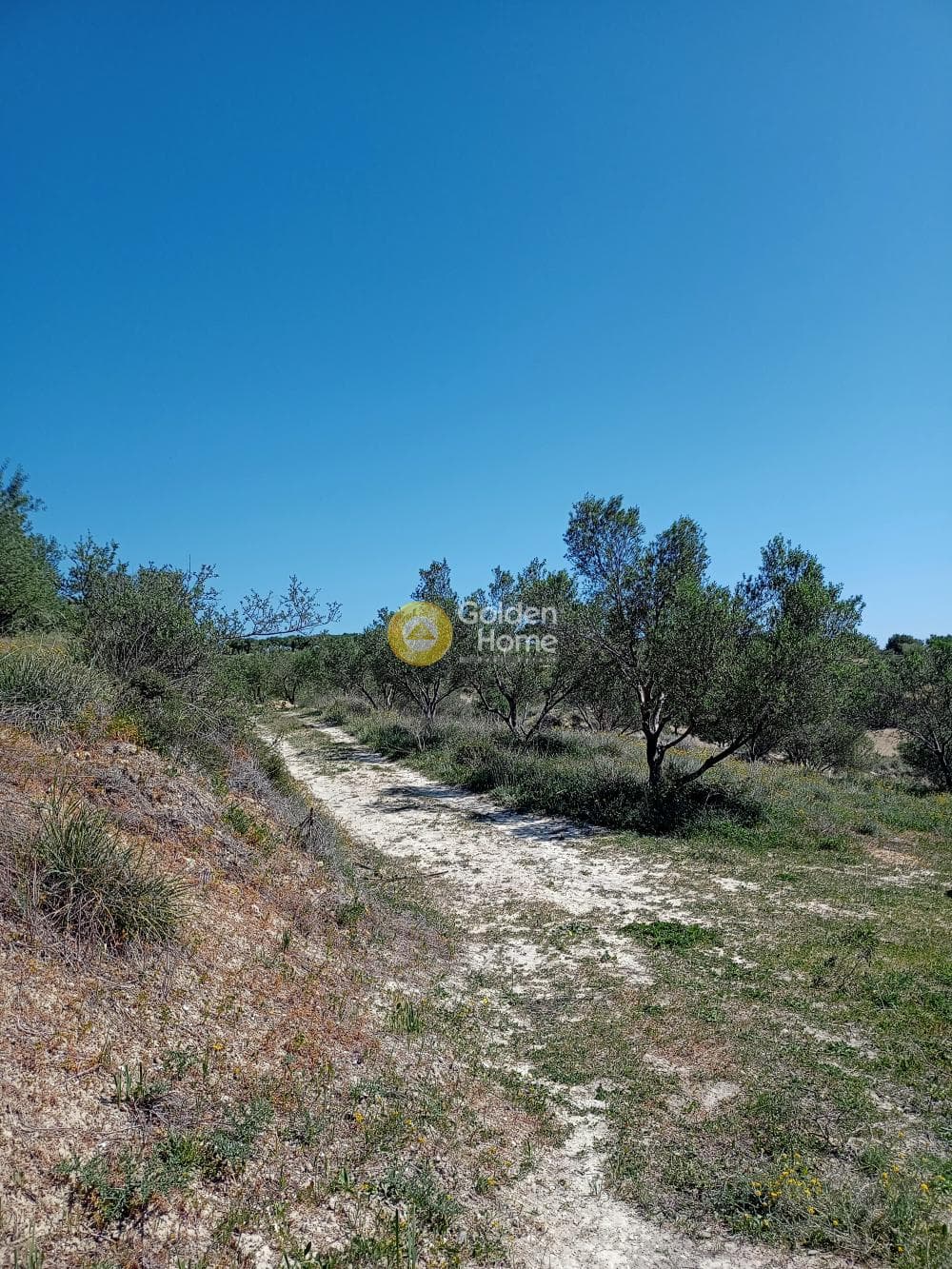 Building Plot in Epano Vatheia, Episkopi — Photo 1 of 4