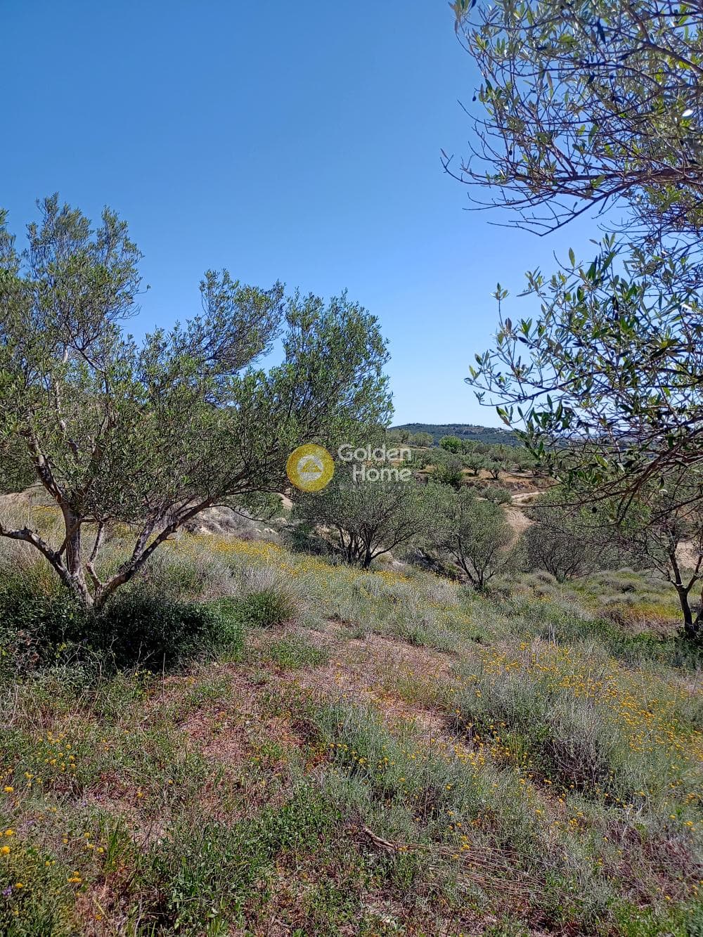 Building Plot in Epano Vatheia, Episkopi — Photo 2 of 4