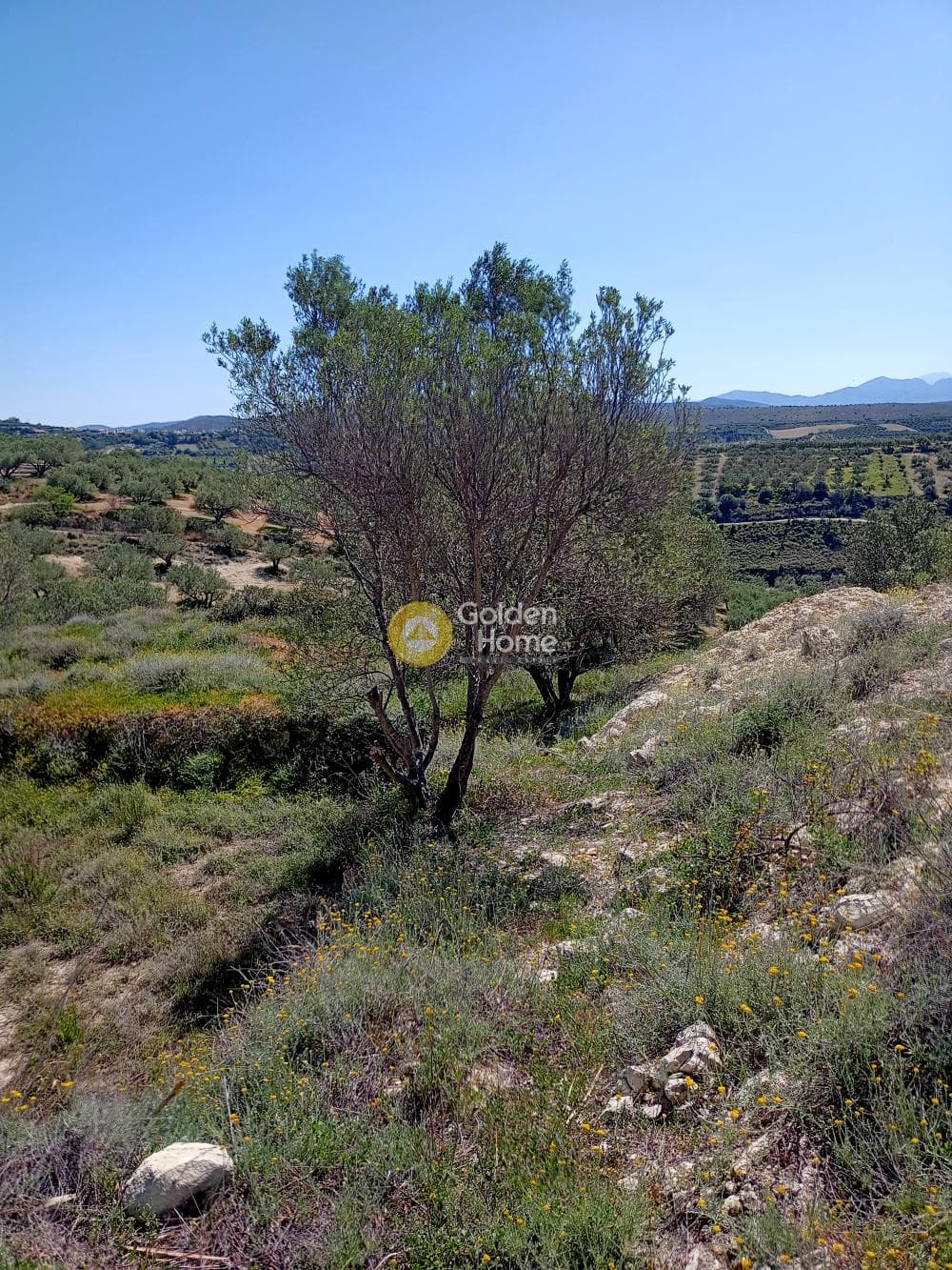 Building Plot in Epano Vatheia, Episkopi — Photo 3 of 4