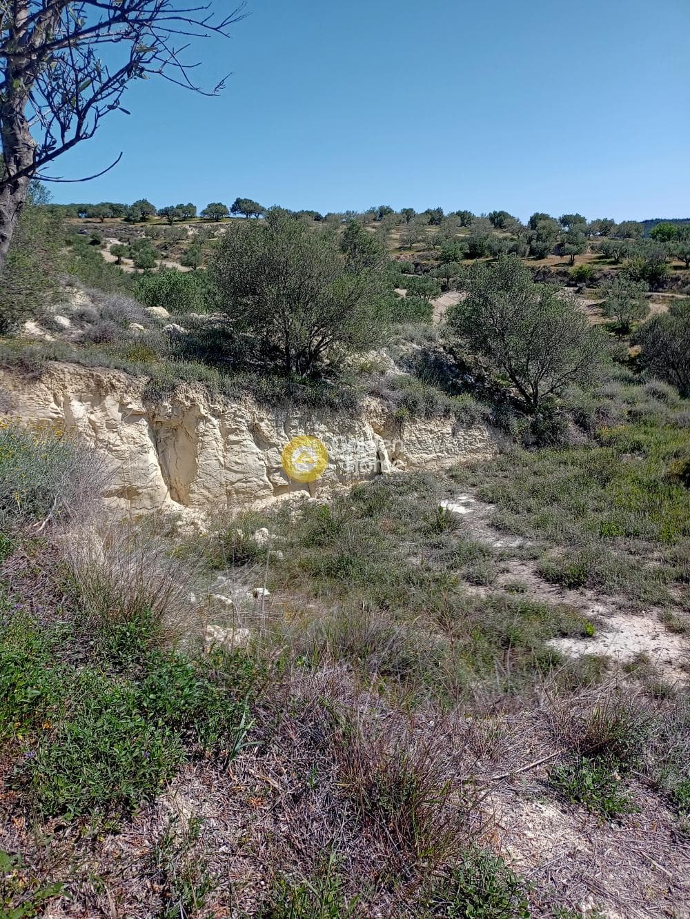 Building Plot in Epano Vatheia, Episkopi — Photo 4 of 4