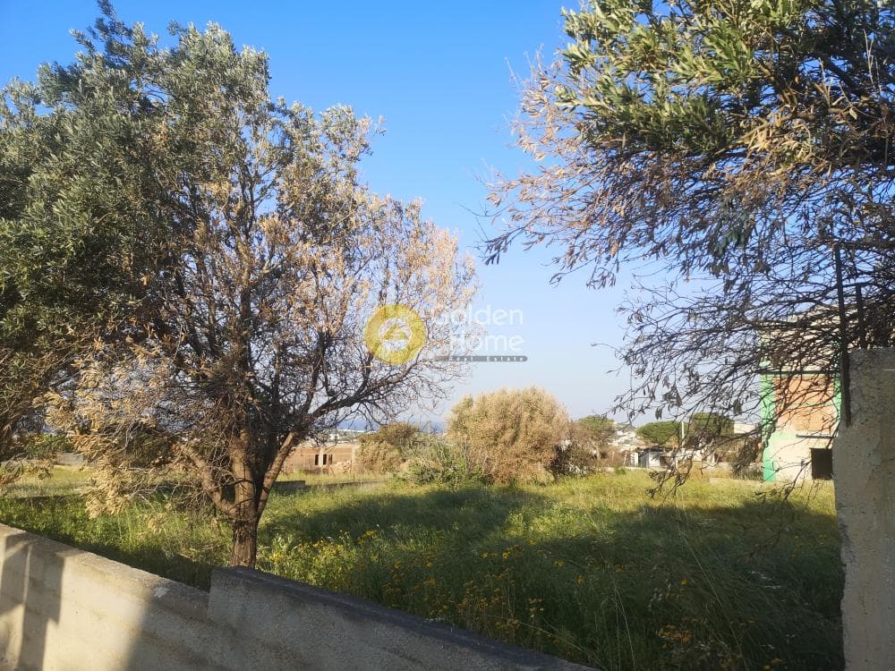 Building Plot in Kalivia, Kalivia Thorikou — Photo 6 of 7