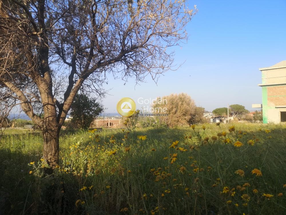 Building Plot in Kalivia, Kalivia Thorikou — Photo 7 of 7