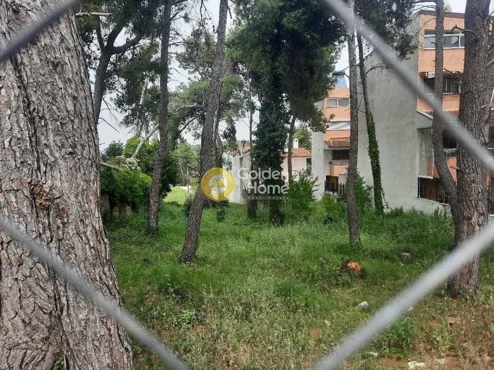 Building Plot in Anoixi, Anoixi — Photo 3 of 5