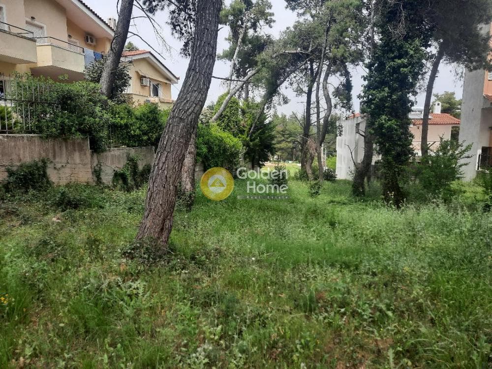 Building Plot in Anoixi, Anoixi — Photo 4 of 5