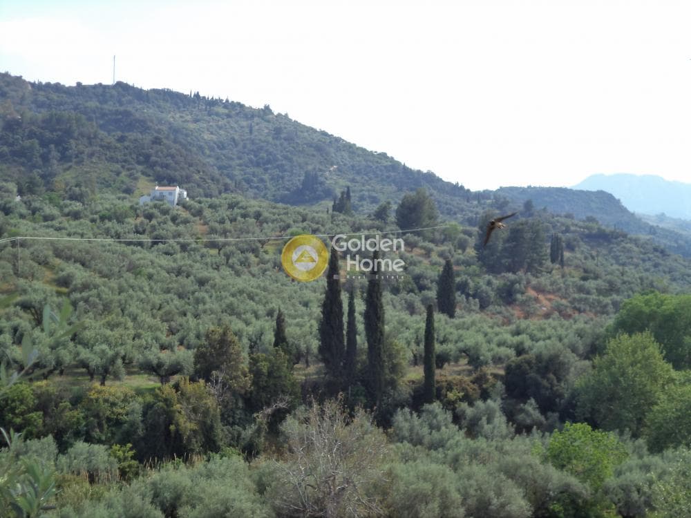 Μονοκατοικία στην Νεραντζιές, Ερίνεο — Φωτογραφία 19 από 19