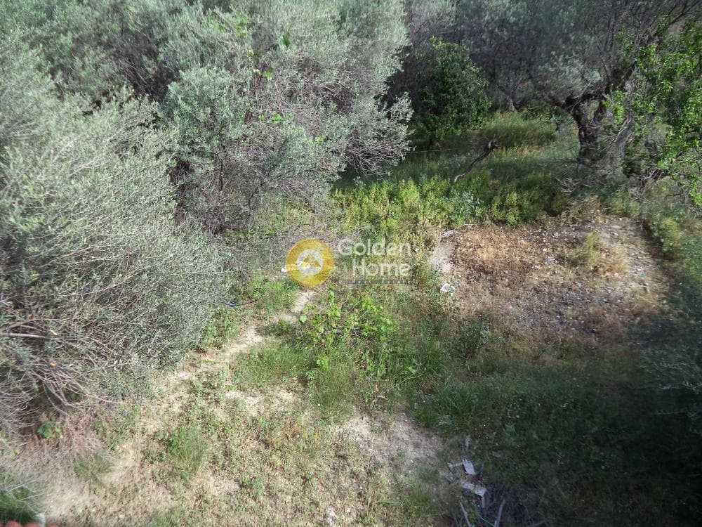 Μονοκατοικία στην Νεραντζιές, Ερίνεο — Φωτογραφία 18 από 19