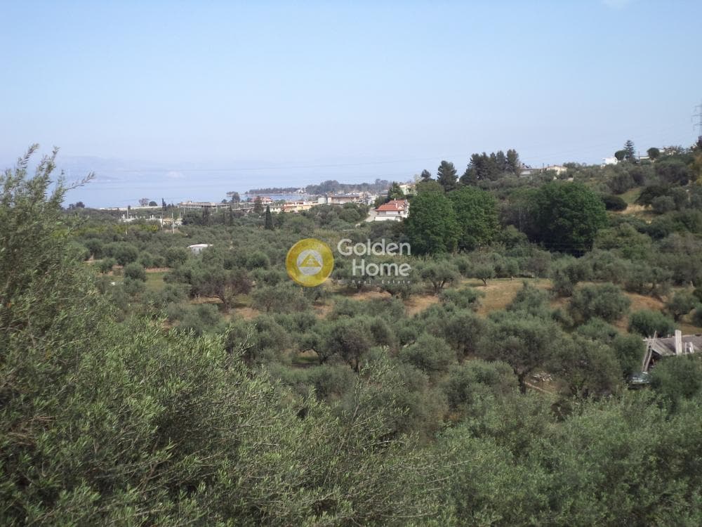 Μονοκατοικία στην Νεραντζιές, Ερίνεο — Φωτογραφία 17 από 19