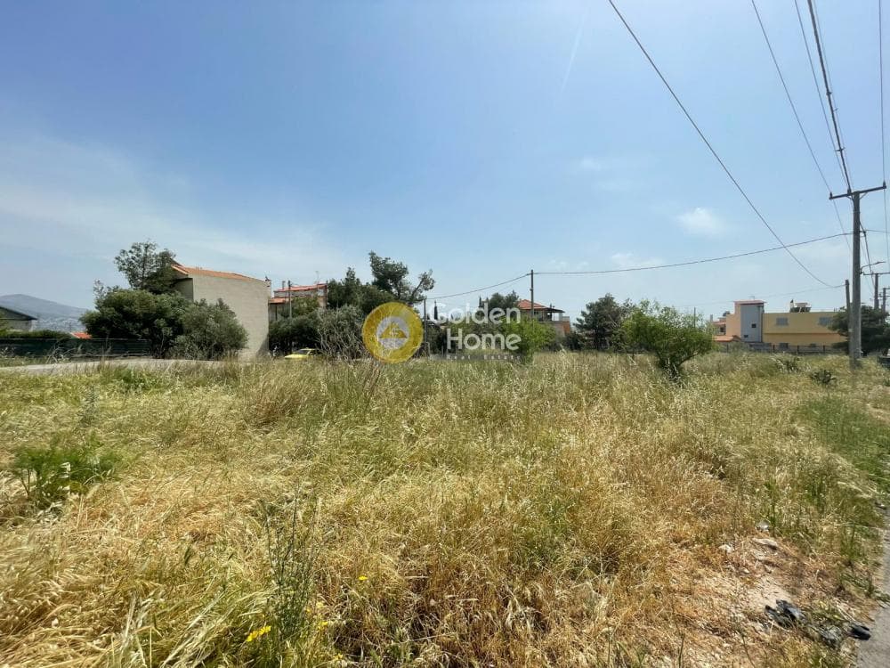 Parcel in Megala Sxoinia A, Acharnes — Photo 5 of 5