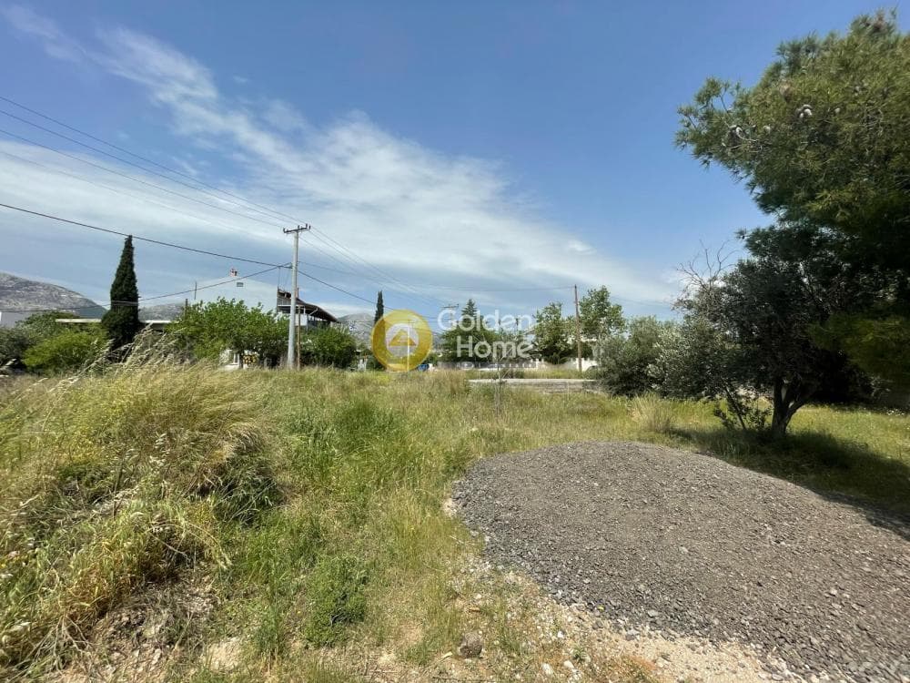 Parcel in Megala Sxoinia A, Acharnes — Photo 2 of 5
