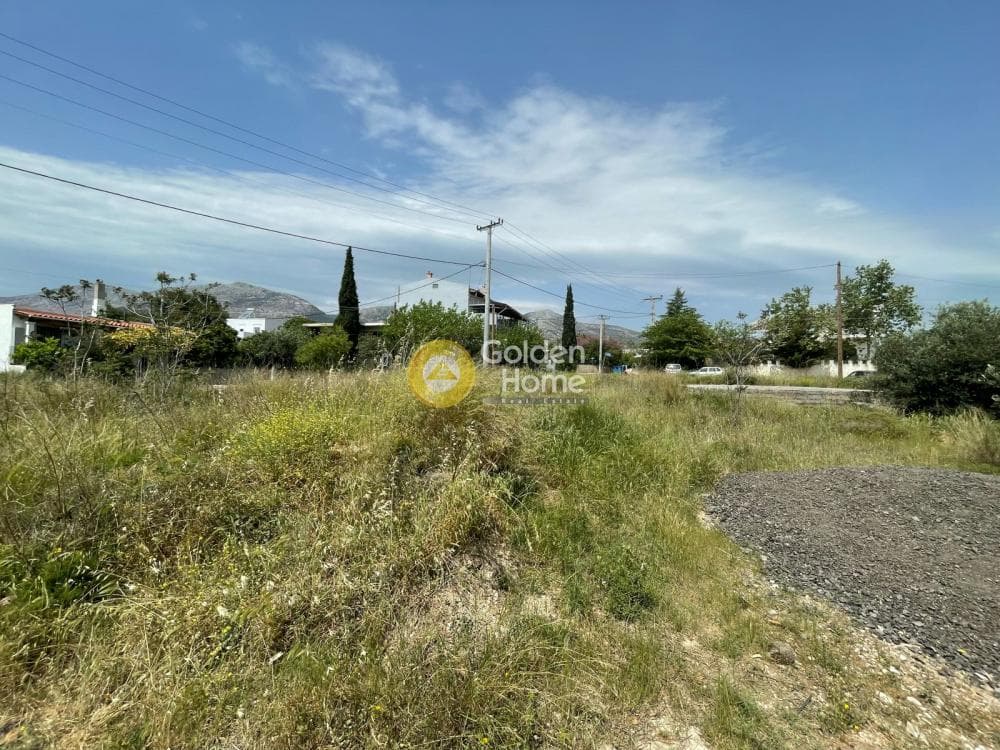 Parcel in Megala Sxoinia A, Acharnes — Photo 1 of 5