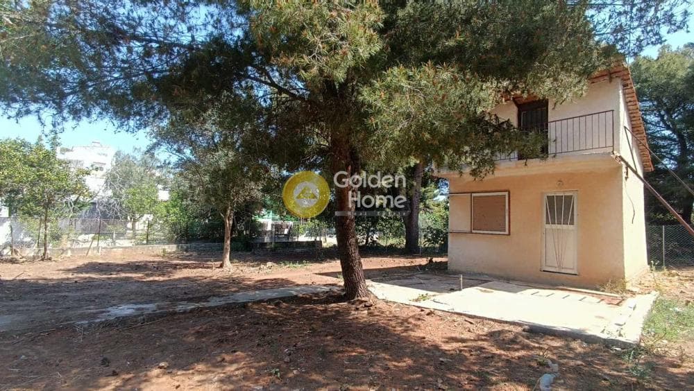Οικόπεδο στην Άγιος Μηνάς, Αρτέμιδα (Λούτσα) — Φωτογραφία 3 από 7