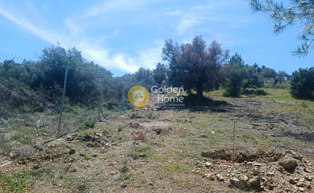 Parcel in Perani, Salamina — Photo 8 of 8