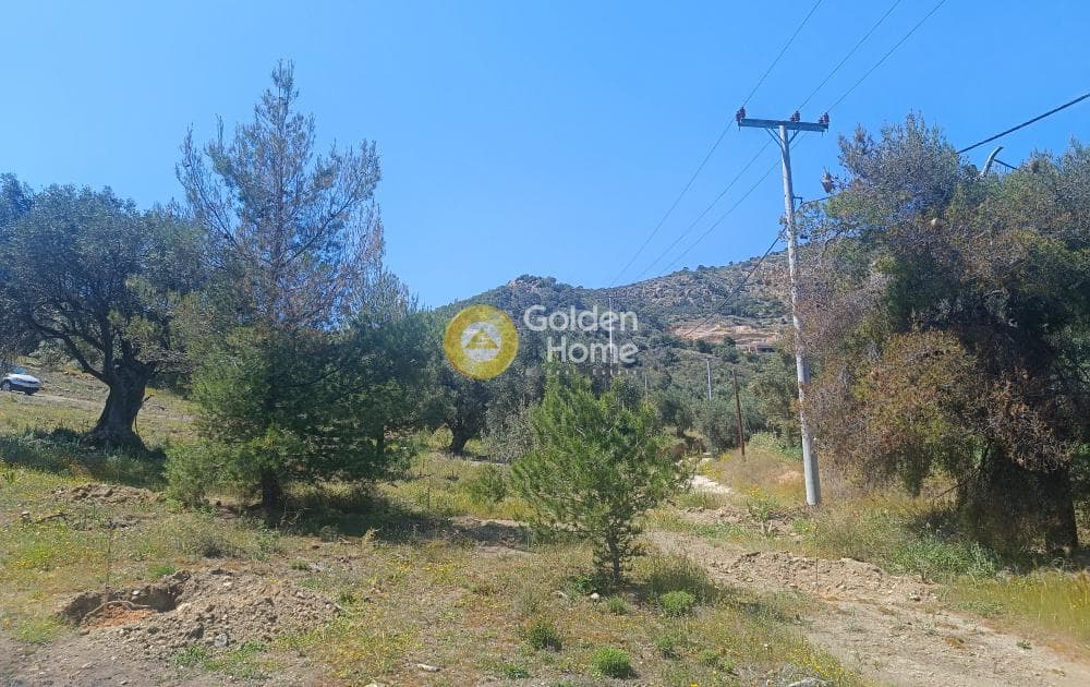 Parcel in Perani, Salamina — Photo 7 of 8