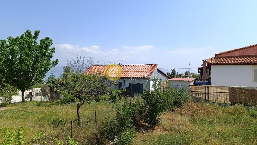 Μονοκατοικία στην Παναγιά, Οινόφυτα — Φωτογραφία 8 από 37