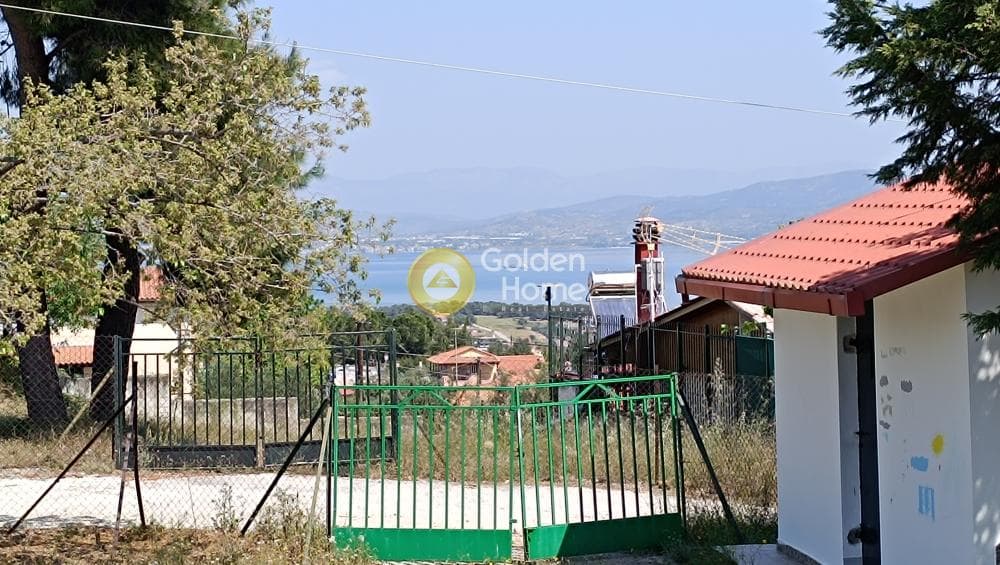 Μονοκατοικία στην Παναγιά, Οινόφυτα — Φωτογραφία 36 από 37