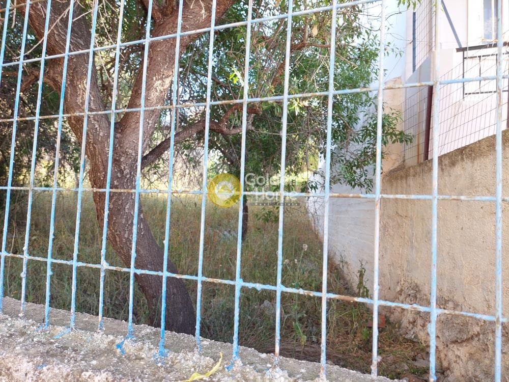 Οικόπεδο στην Βορινέζα, Αρτέμιδα (Λούτσα) — Φωτογραφία 9 από 10