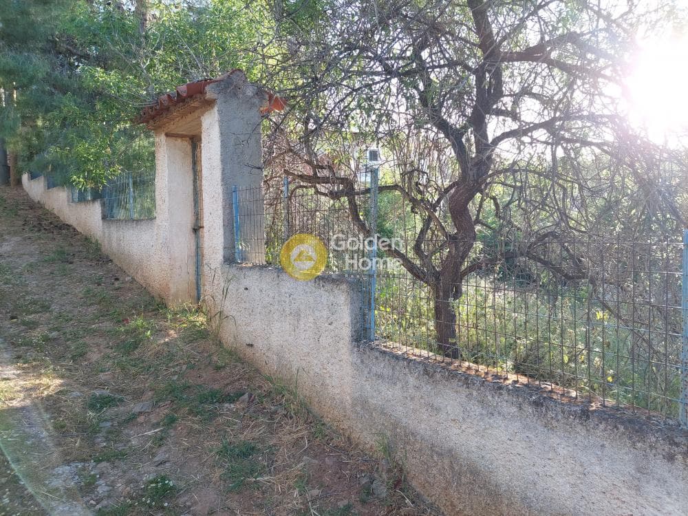 Οικόπεδο στην Βορινέζα, Αρτέμιδα (Λούτσα) — Φωτογραφία 5 από 10