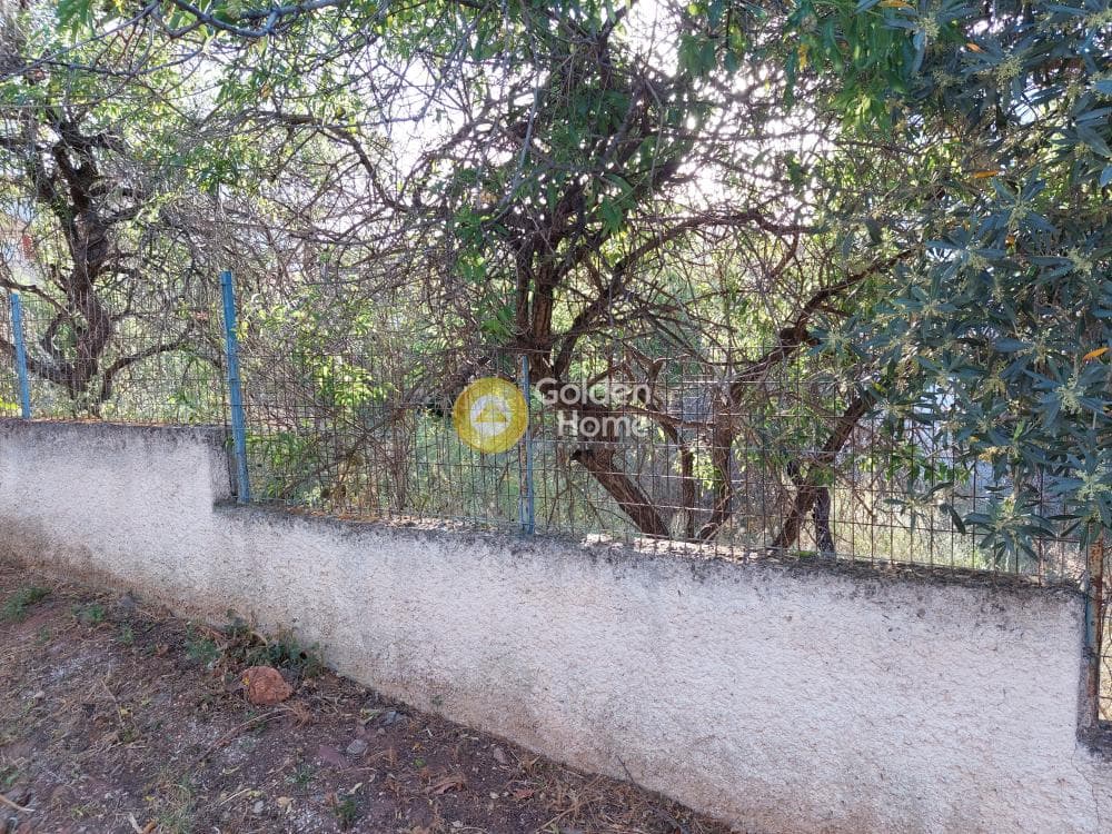 Οικόπεδο στην Βορινέζα, Αρτέμιδα (Λούτσα) — Φωτογραφία 6 από 10