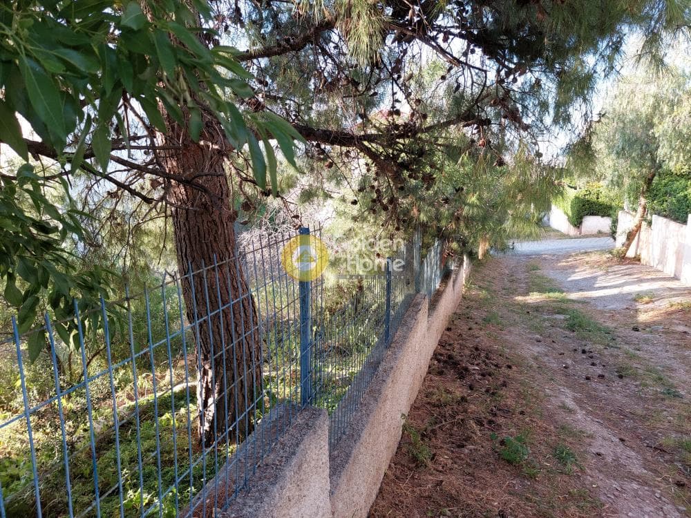 Οικόπεδο στην Βορινέζα, Αρτέμιδα (Λούτσα) — Φωτογραφία 3 από 10