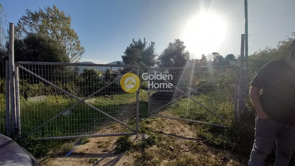 Μονοκατοικία στην Κιούρκα, Αφίδνες — Φωτογραφία 2 από 7