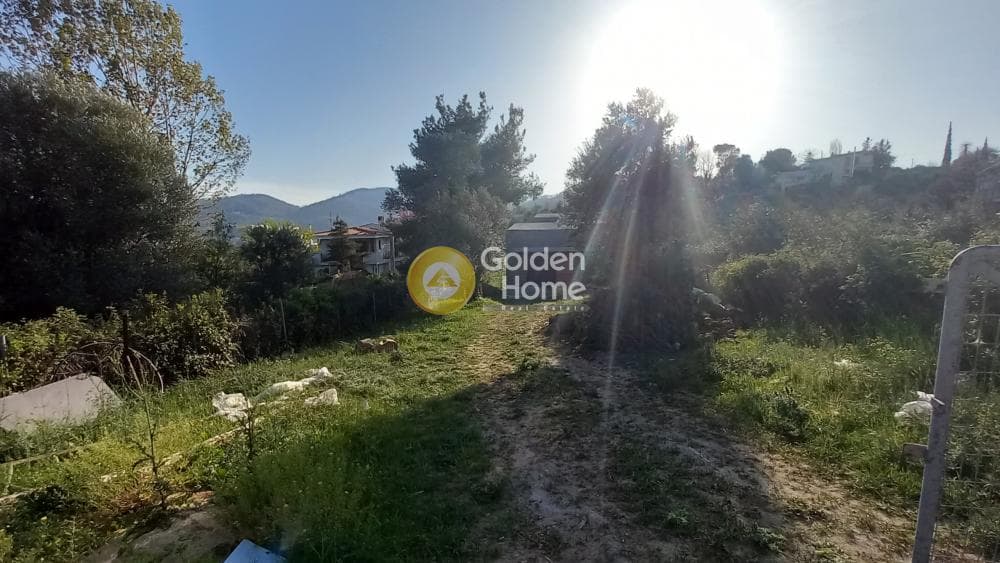 Μονοκατοικία στην Κιούρκα, Αφίδνες — Φωτογραφία 3 από 7
