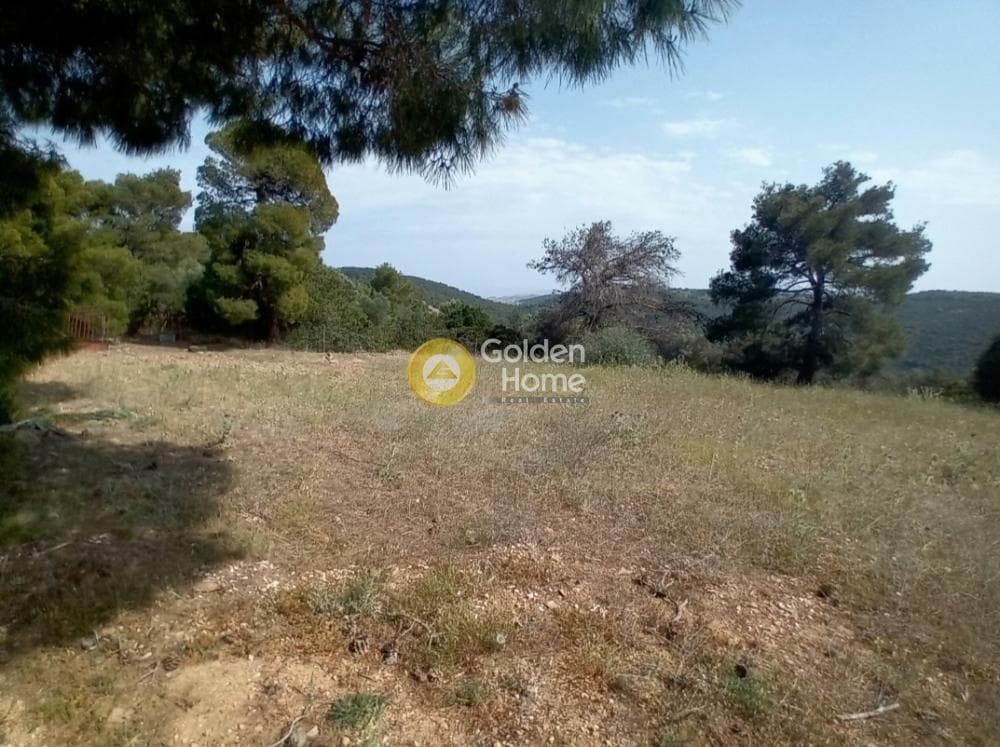 House in Porto Rafti, Vravrona — Photo 11 of 20
