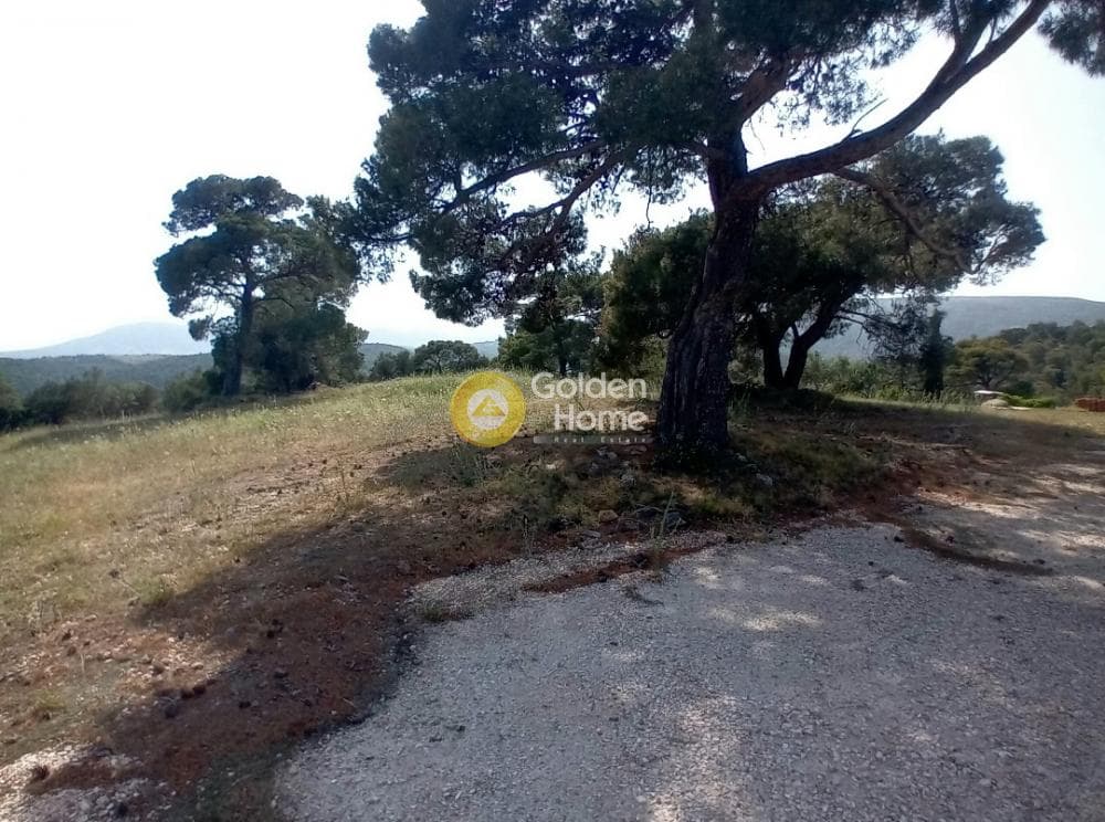 House in Porto Rafti, Vravrona — Photo 13 of 20