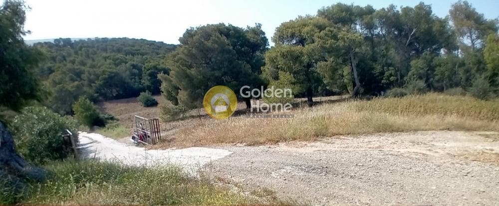 House in Porto Rafti, Vravrona — Photo 20 of 20