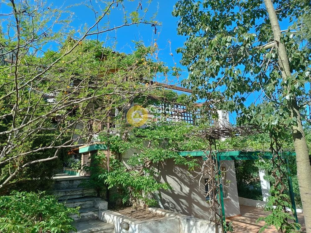 House in Ari, Anavissos — Photo 39 of 39
