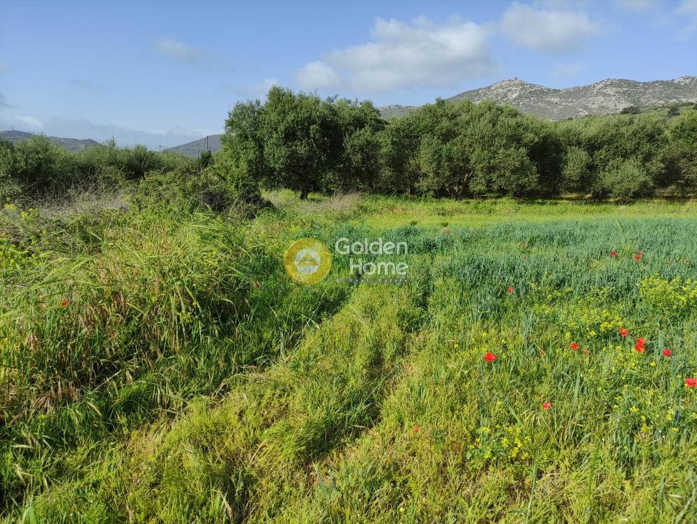 Building Plot in Kato Archanes, Archanes — Photo 4 of 7