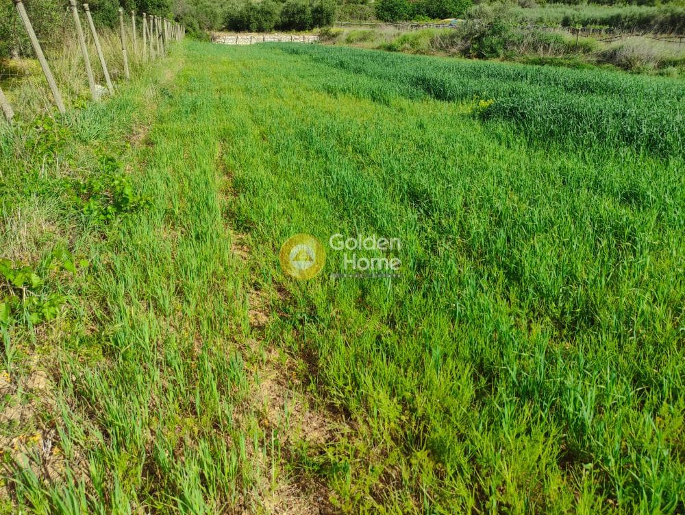 Building Plot in Kato Archanes, Archanes — Photo 5 of 7
