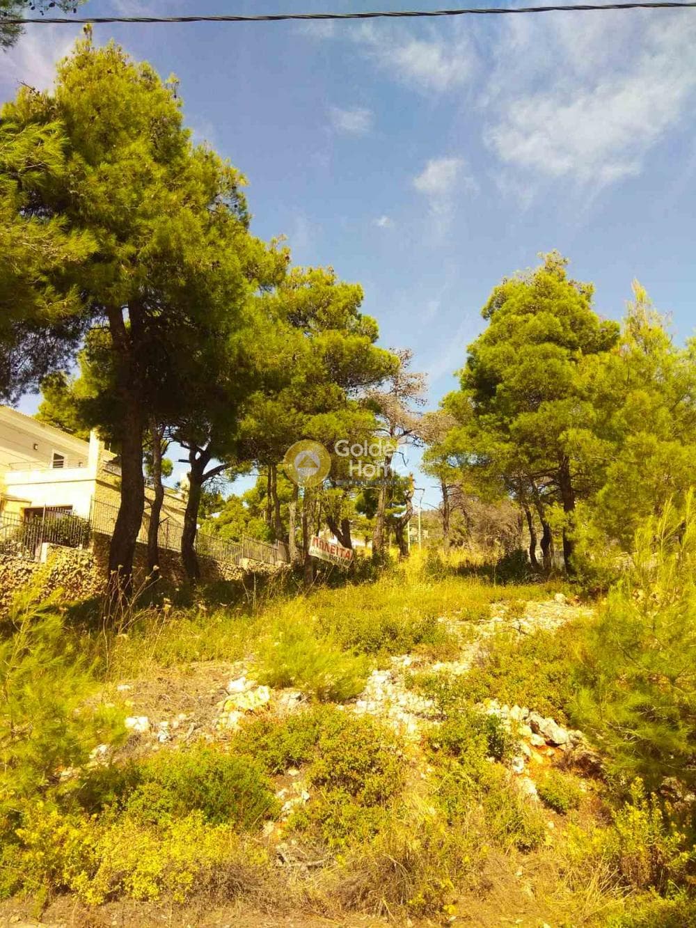 Building Plot in Agia Triada, Afidnes — Photo 2 of 3