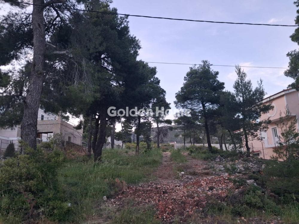 Building Plot in Agia Triada, Afidnes — Photo 1 of 3