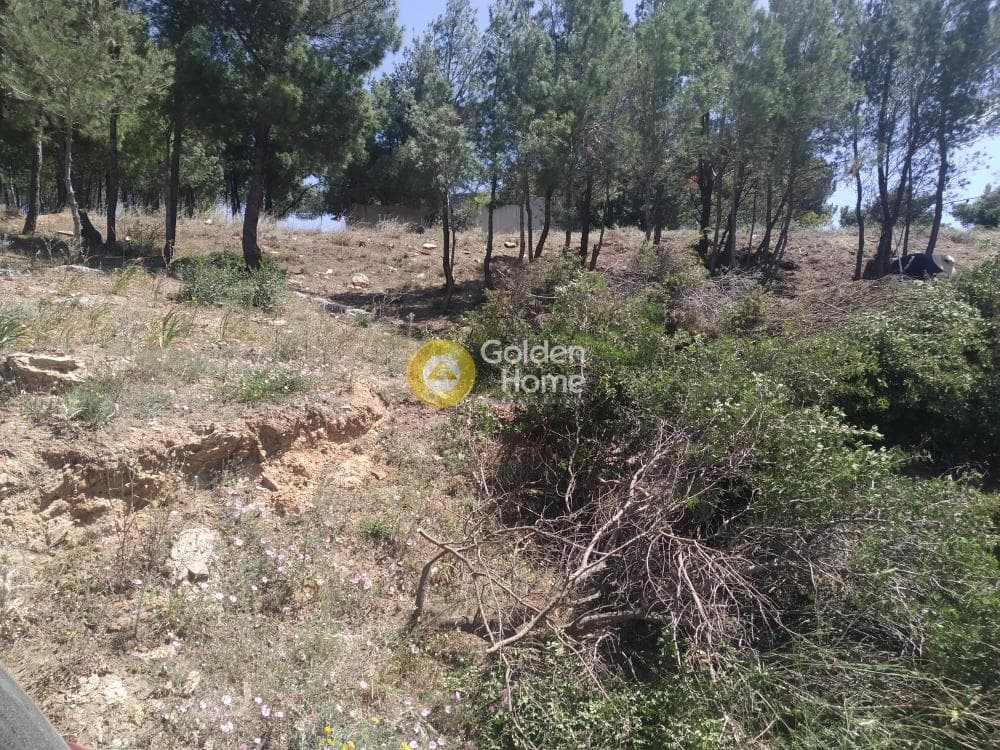 Οικόπεδο στην Δασαμάρι, Πικέρμι — Φωτογραφία 1 από 3