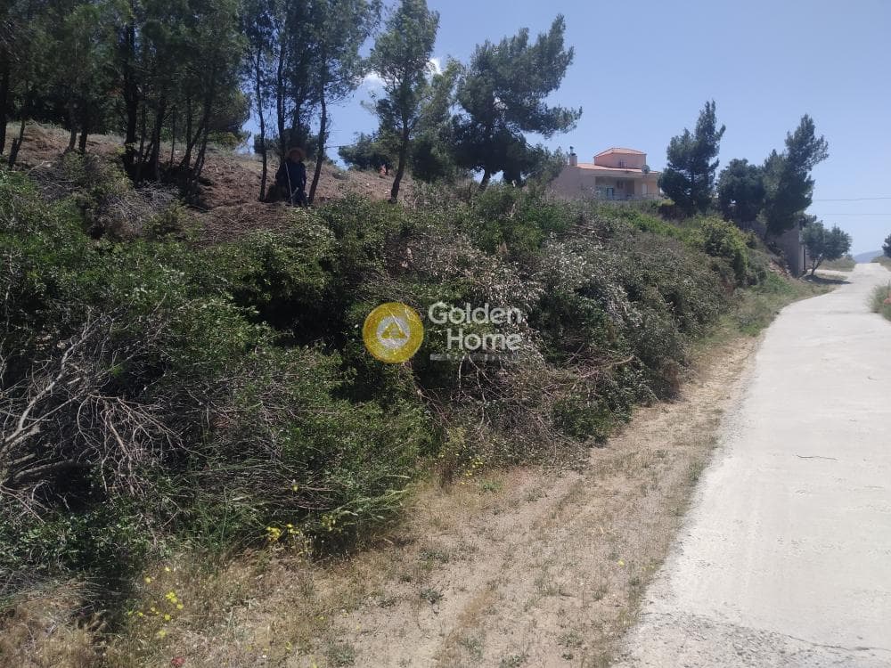 Οικόπεδο στην Δασαμάρι, Πικέρμι — Φωτογραφία 2 από 3
