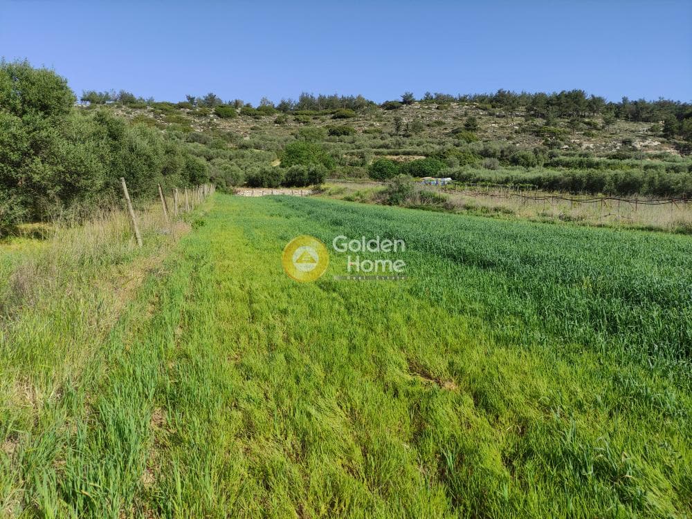 Building Plot in Kato Archanes, Archanes — Photo 1 of 7