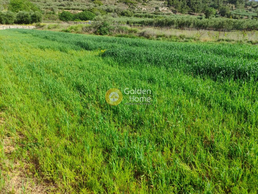 Building Plot in Kato Archanes, Archanes — Photo 3 of 7