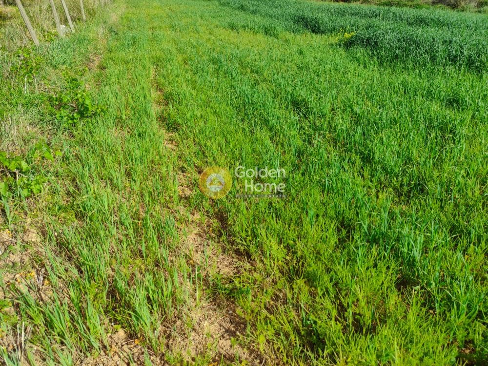 Building Plot in Kato Archanes, Archanes — Photo 7 of 7