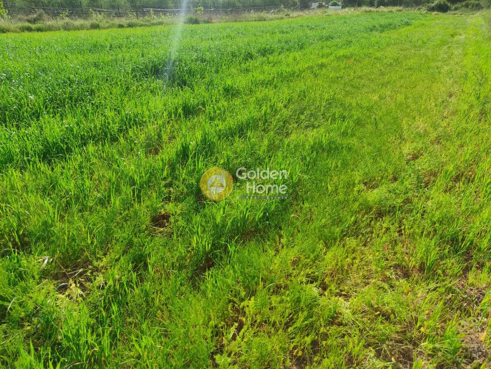 Building Plot in Kato Archanes, Archanes — Photo 6 of 7