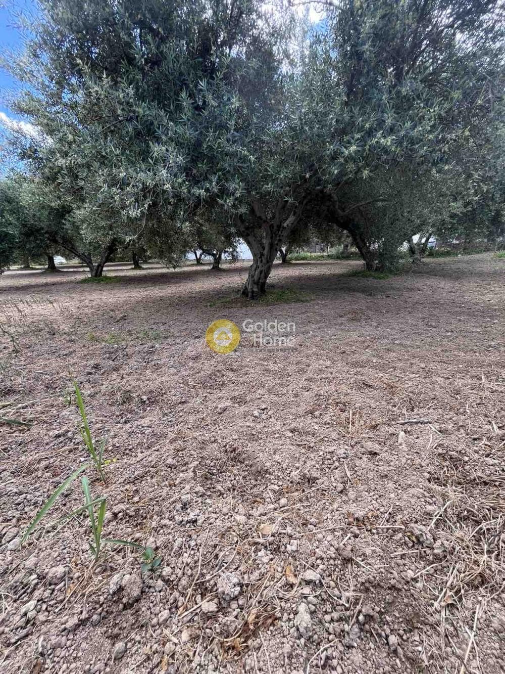 Building Plot in Agioi Theodoroi, Gazi — Photo 5 of 14