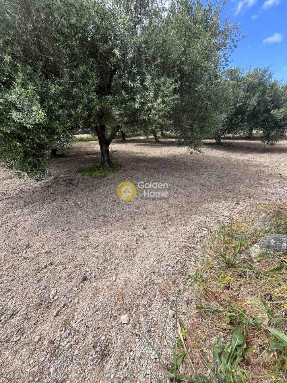 Building Plot in Agioi Theodoroi, Gazi — Photo 1 of 14