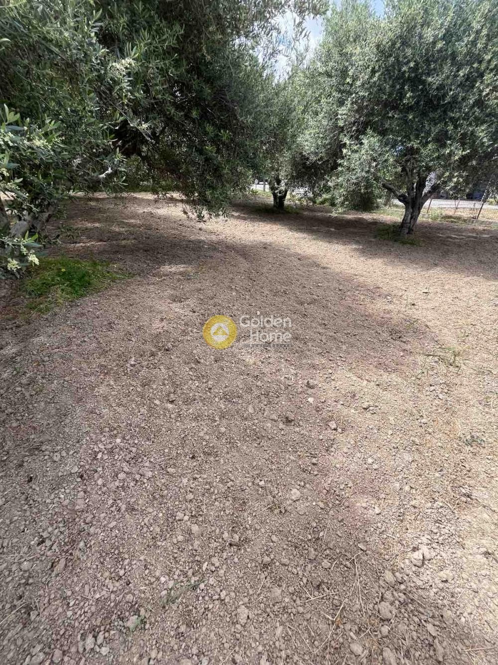 Building Plot in Agioi Theodoroi, Gazi — Photo 4 of 14