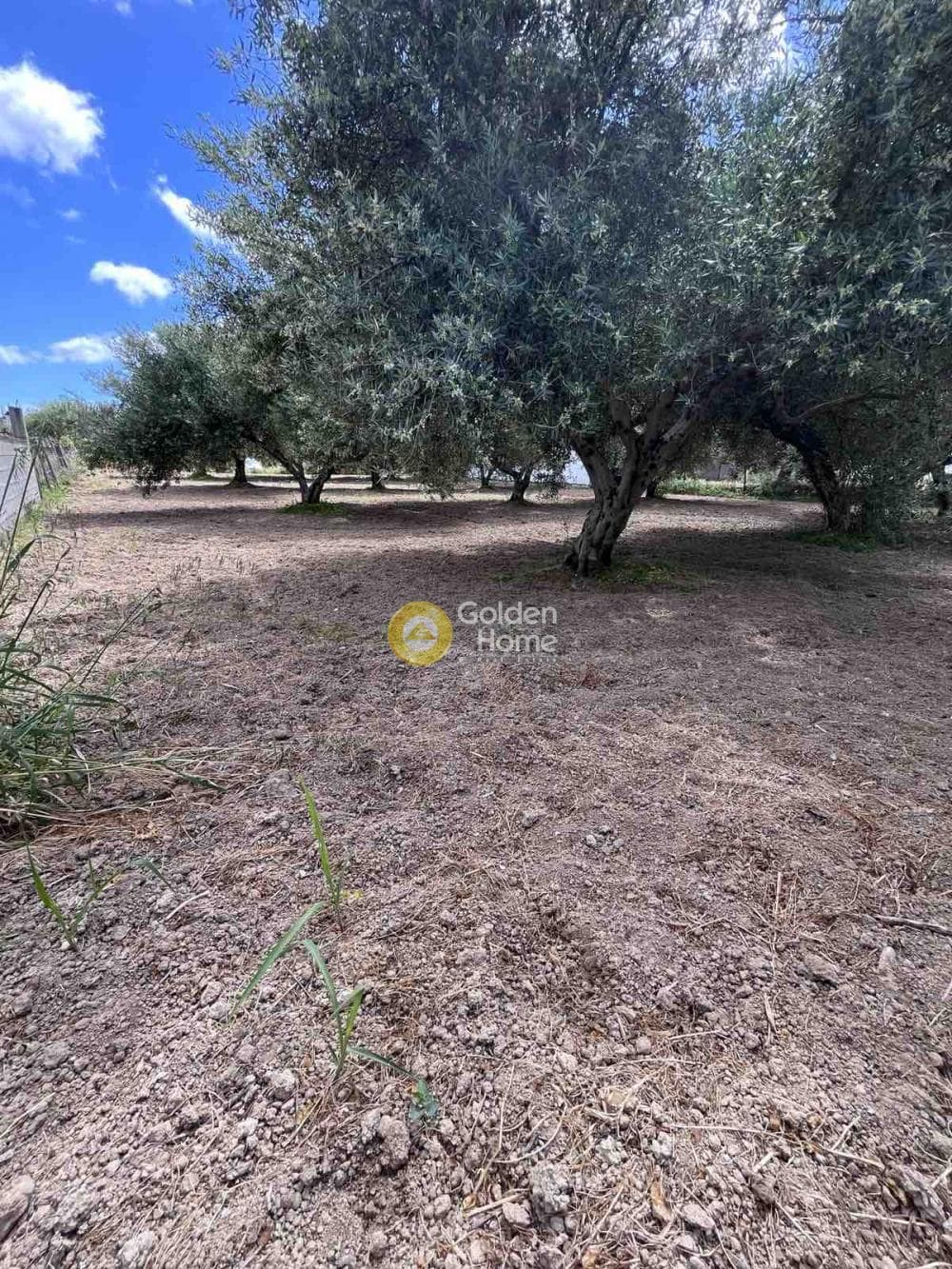 Building Plot in Agioi Theodoroi, Gazi — Photo 2 of 14
